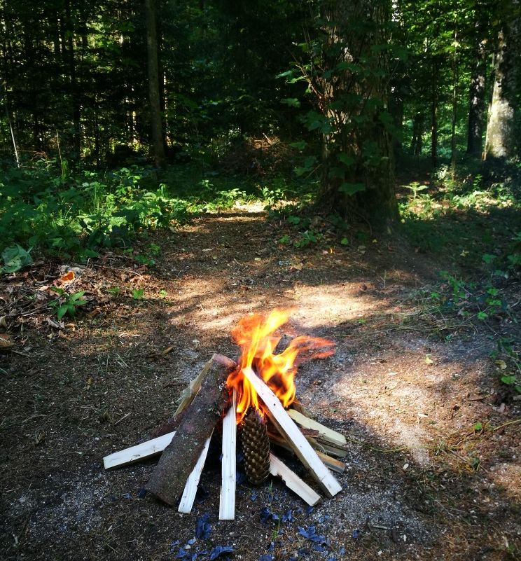 brennendes kleines Lagerfeuer im Wald