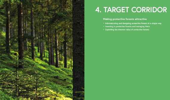 Flagship measure: Administrating and designing protective forests in a simple way