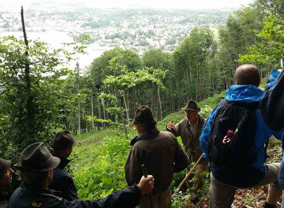 Flagship measure: Learning and understanding protective forests