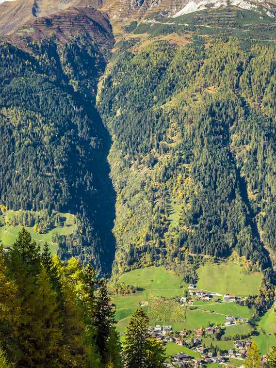 Avalanche zone and protective forest