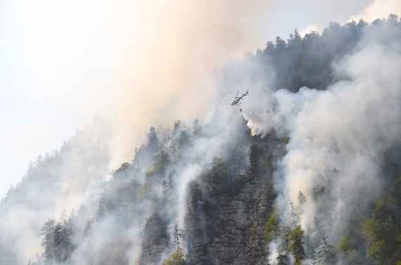 forest fire