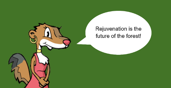 hanne rejuvenation