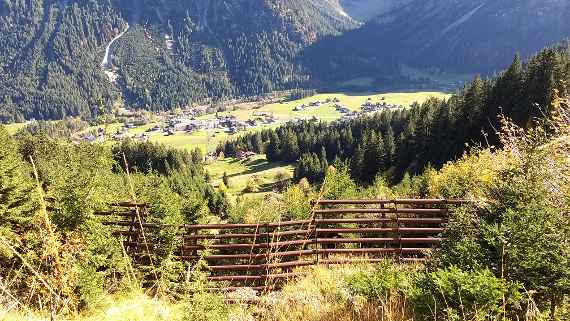 Im Schutzwald investieren und wirtschaften.