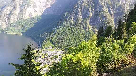 Objektschutzwald in Hallstatt