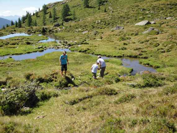 Natonalpark Hohe Tauern