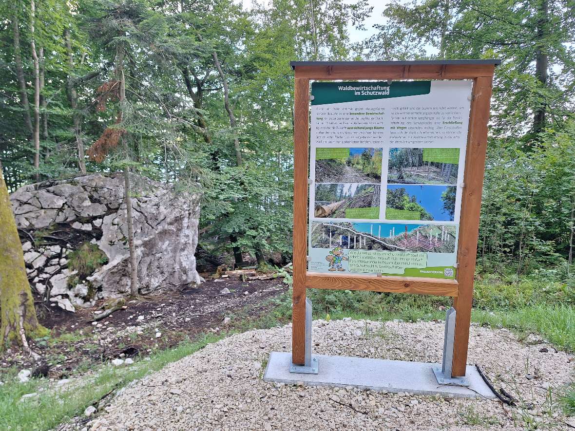 Protective Forest Nature Trail Nikoloweg