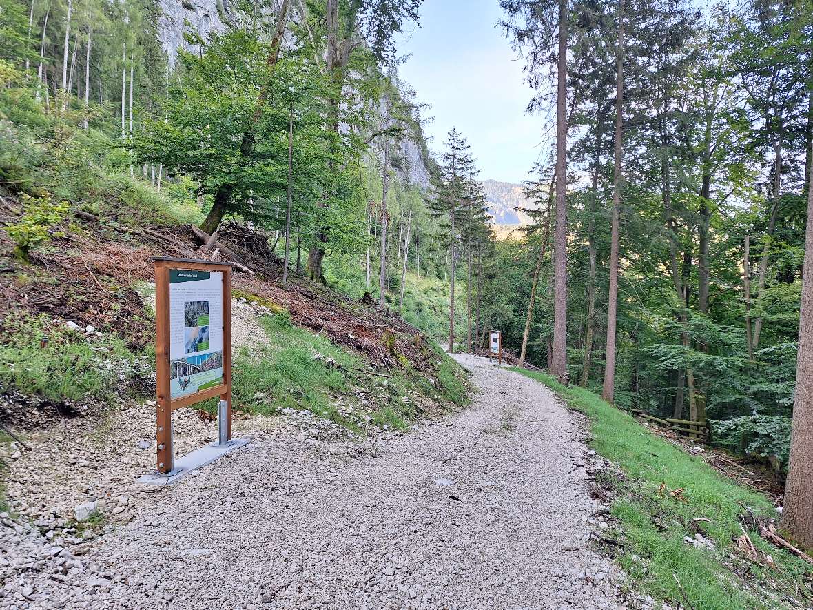 Protective Forest Nature Trail Nikoloweg