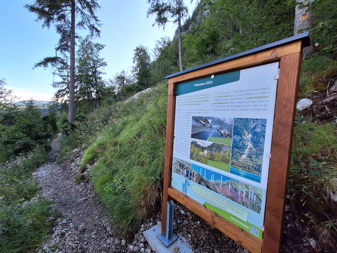 Protective Forest Nature Trail Nikoloweg