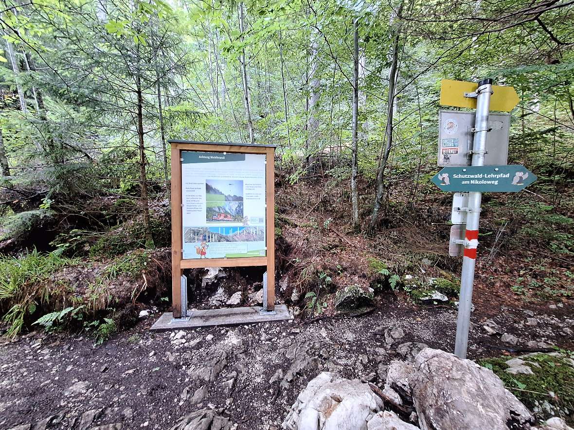 Protective Forest Nature Trail Nikoloweg