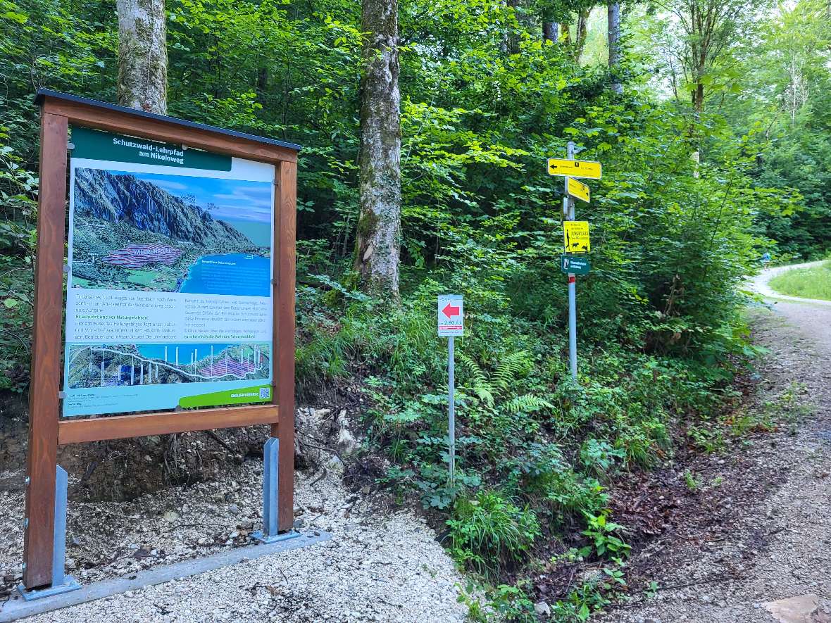 Protective Forest Nature Trail Nikoloweg Overview