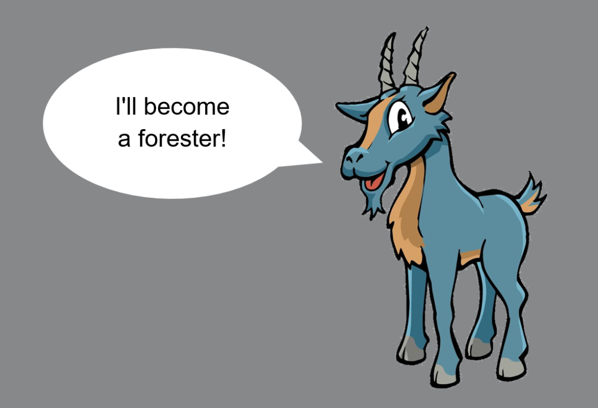 Stani Steinbock