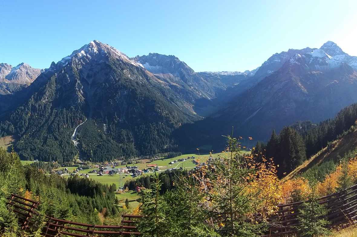 Protective Forest in Austria