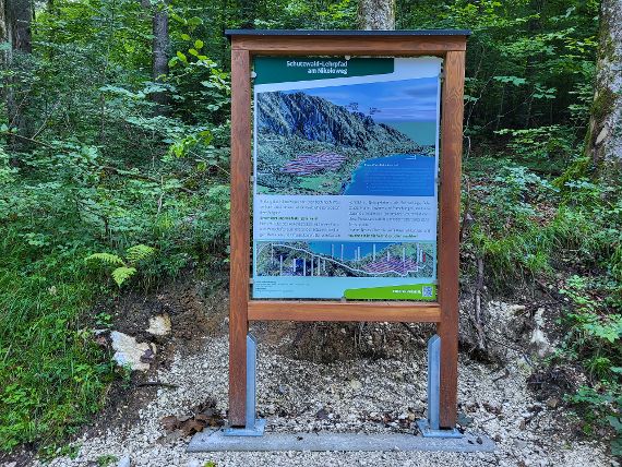 Protective Forest Nature Trail Nikoloweg Overview