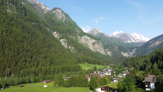 Wald in Österreich