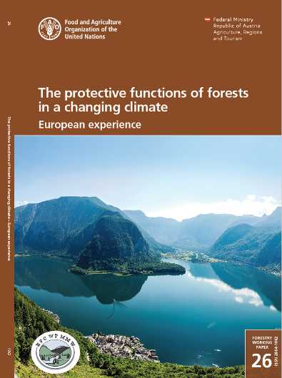 Publication "The protective functions of forests in a changing climate"